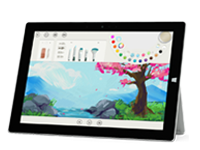 东湖Surface 无法开启、Windows 无法启动或电池无法充电