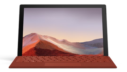 东湖清洁和维护 Surface